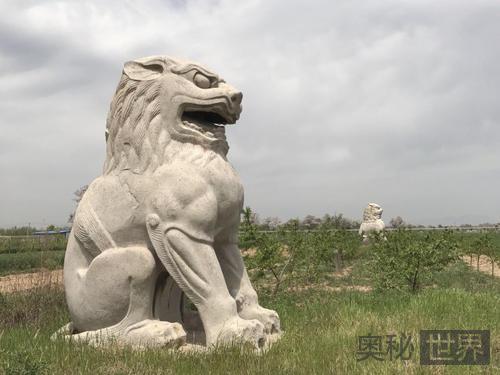 唐顺陵：武则天母亲的陵墓却比开国皇帝的还要大