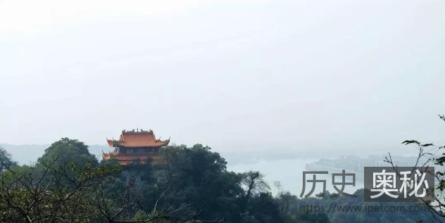 如果司马昭没有取代曹魏称帝,中国还会不会经历“五胡乱华”?