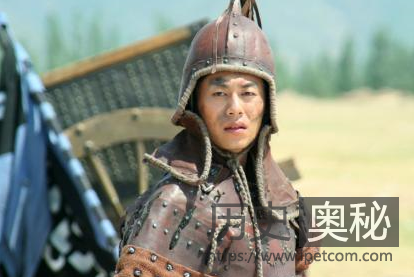 刘禅对姜维不冷不热，背后真实原因是什么？