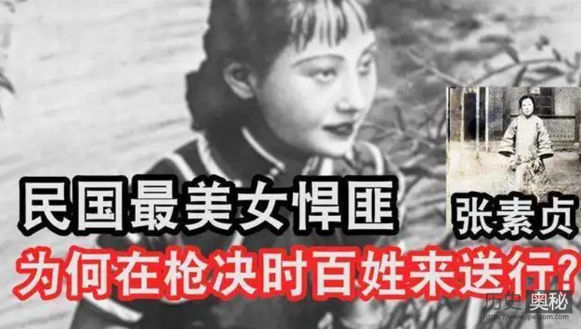 张贺贞一介女流为何会成为土匪头子？