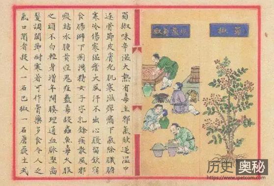 《雷公炮炙论》：最早的中药炮制学著作