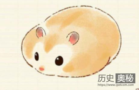 历史上的庚子年出过哪些事？
