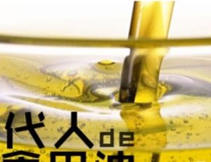 中国古代历史上古人们都吃什么油？