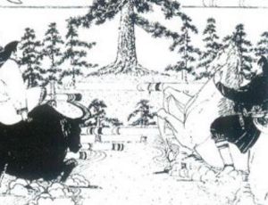 白马青牛的传说