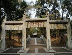 山东孔林为何千年不落一只鸟